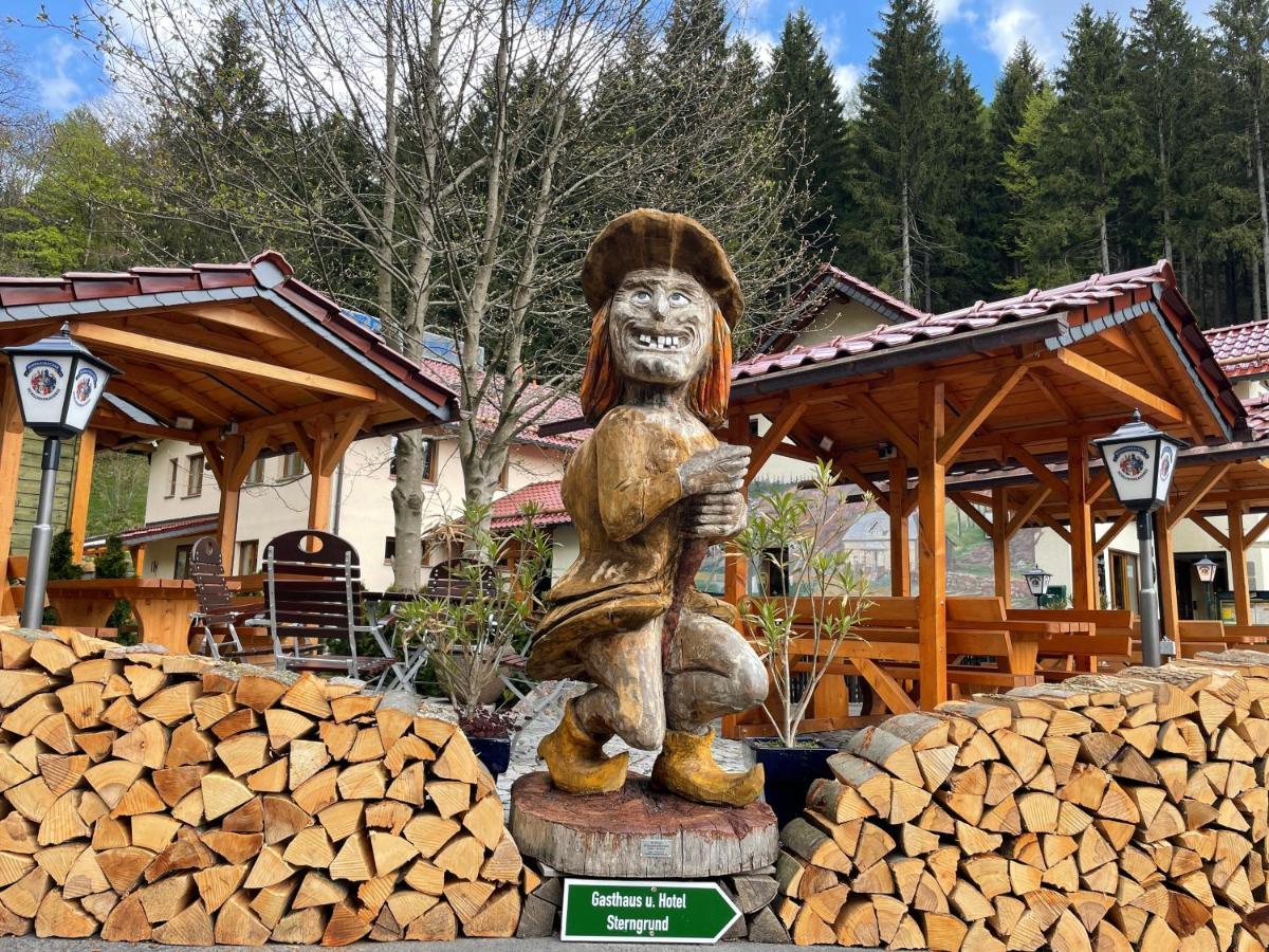 Hotel & Gasthaus Sterngrund Zella-Mehlis Ngoại thất bức ảnh