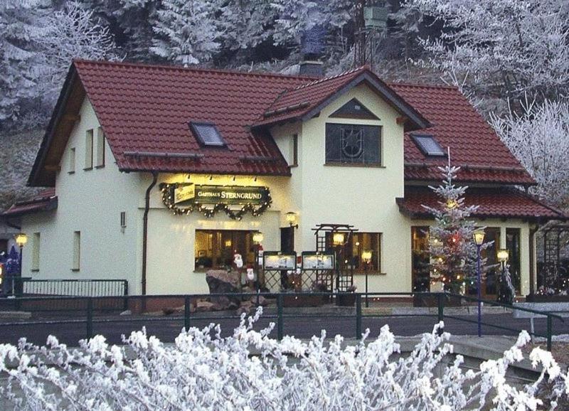 Hotel & Gasthaus Sterngrund Zella-Mehlis Ngoại thất bức ảnh